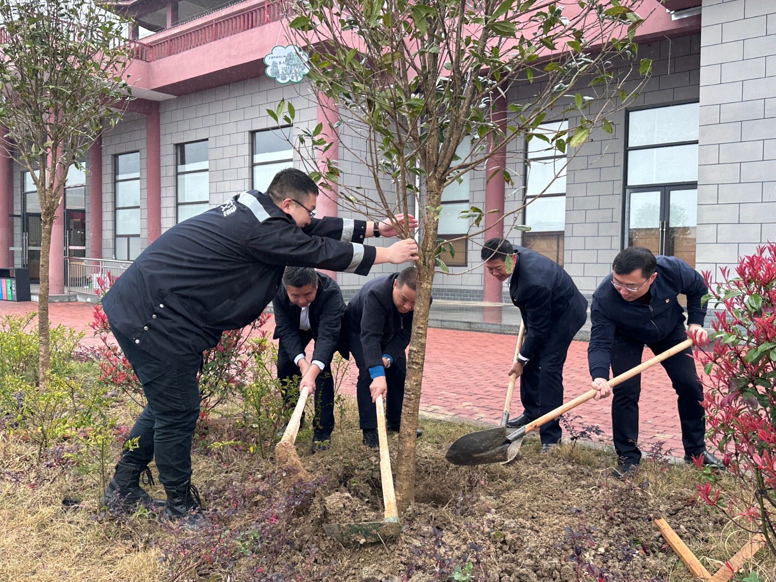 植树现场 (2).jpg